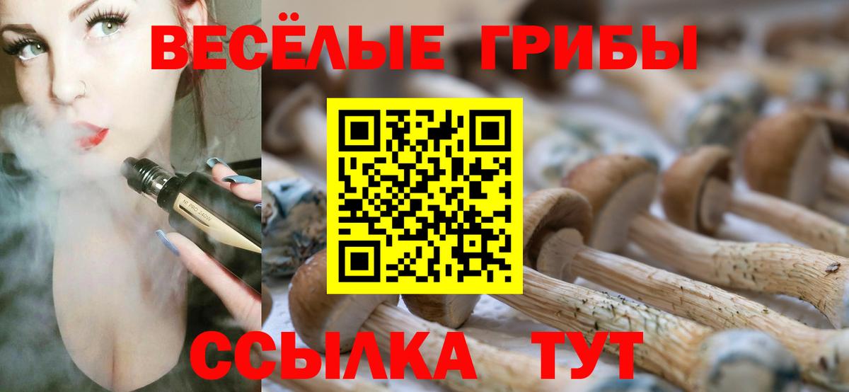 Амурск  Псилоцибиновые грибы ЛСД  Вход с VPN  Галлюциногенные грибы Psilocybine cubensis 